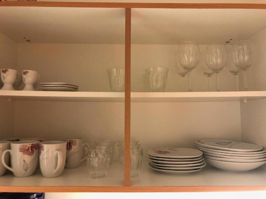 ברנו Apartmans V Arealu Vlnena מראה חיצוני תמונה